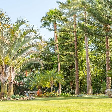 The Grand Oasis Estepona Marbella Buitenkant foto